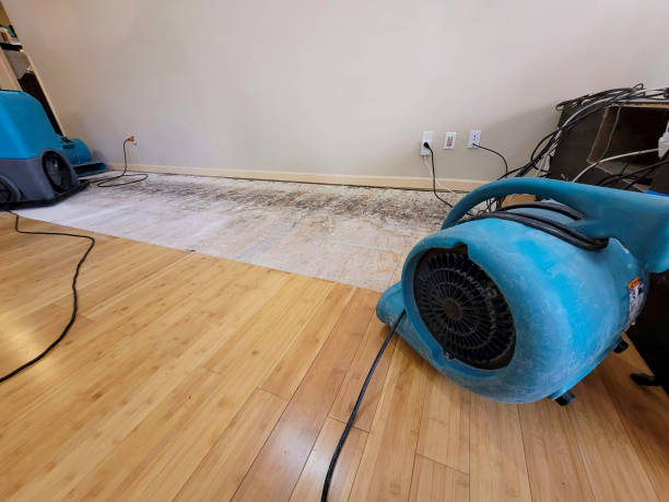 Professional Water Damage Repair technician working in Peru, IL